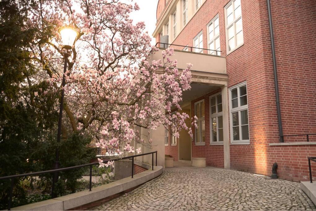 Elegant Apartment In The City Center Wrocław Eksteriør billede